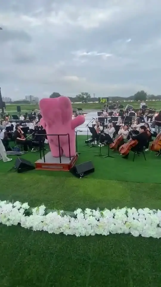 야외 오케스트라 공연을 지휘하는 벨리곰
