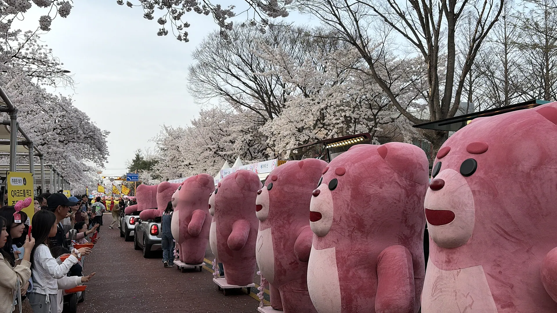 벚꽃 퍼레이드에 선 벨리곰 인형탈 배우들